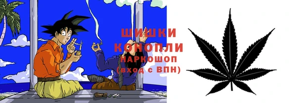 прущие грибы Алзамай