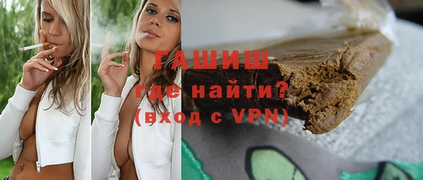 прущие грибы Алзамай